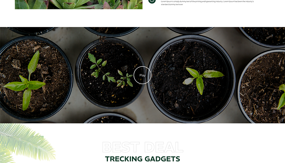 Gardening WordPress Theme