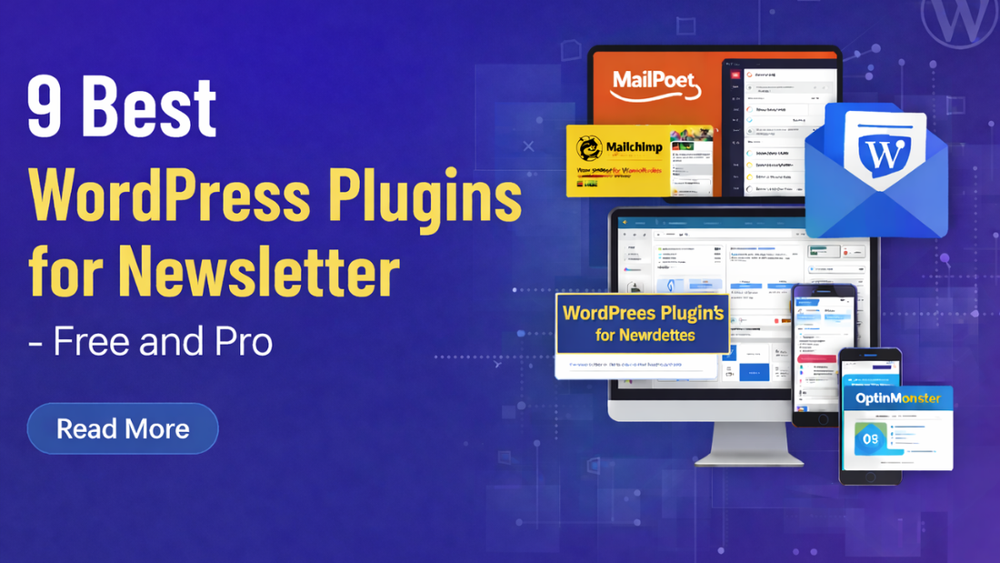 WordPress Plugins for Newsletter