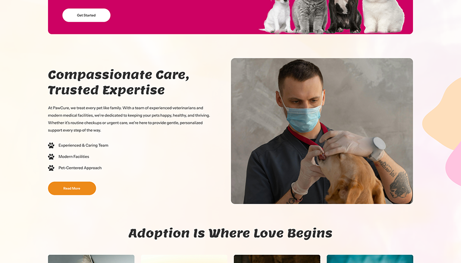 Veterinary WordPress Theme