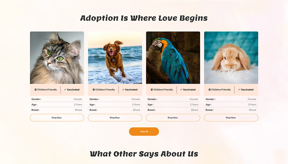 Veterinary WordPress Theme