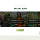 Gardening WordPress Theme