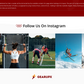 Sports Store WordPress Theme