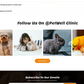 Veterinary WordPress Theme
