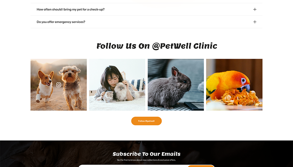 Veterinary WordPress Theme