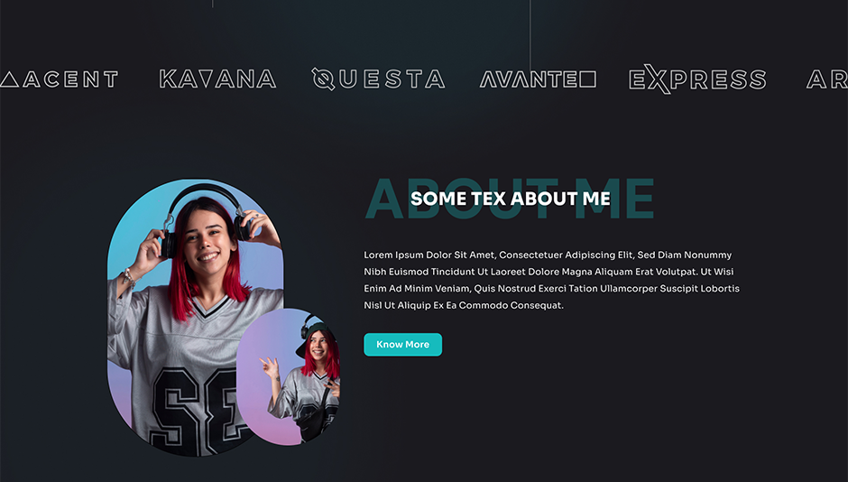 Portfolio WordPress Theme