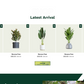 Gardening WordPress Theme