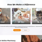 Veterinary WordPress Theme