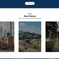 Real Estate Wordpress Theme