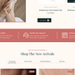 Jeweler Shop Wordpress Theme