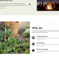 Gardening WordPress Theme