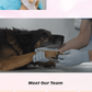 Veterinary WordPress Theme
