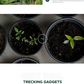 Gardening WordPress Theme