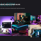 Portfolio WordPress Theme