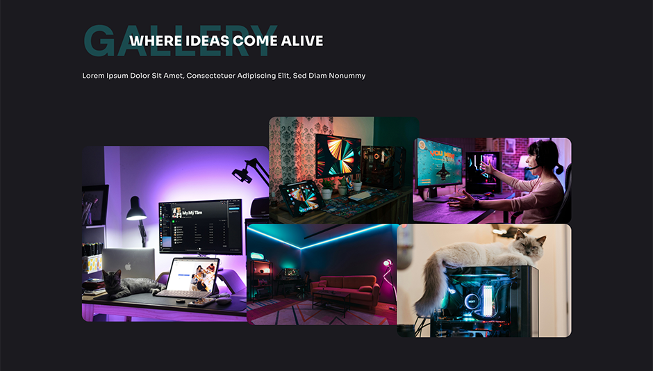 Creative Portfolio WordPress Theme