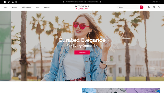 Ecommerce Store WordPress Theme