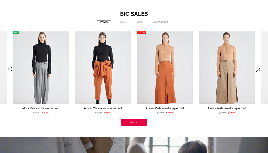 Ecommerce Store WordPress Theme