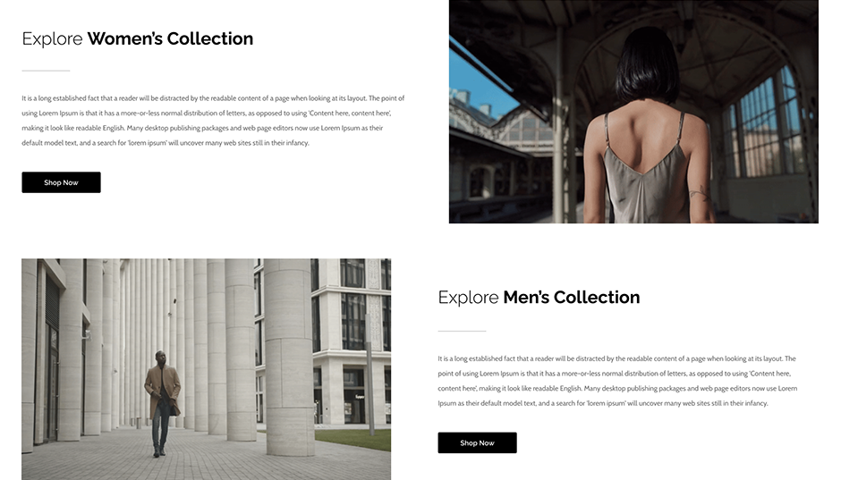 Ecommerce Store WordPress Theme