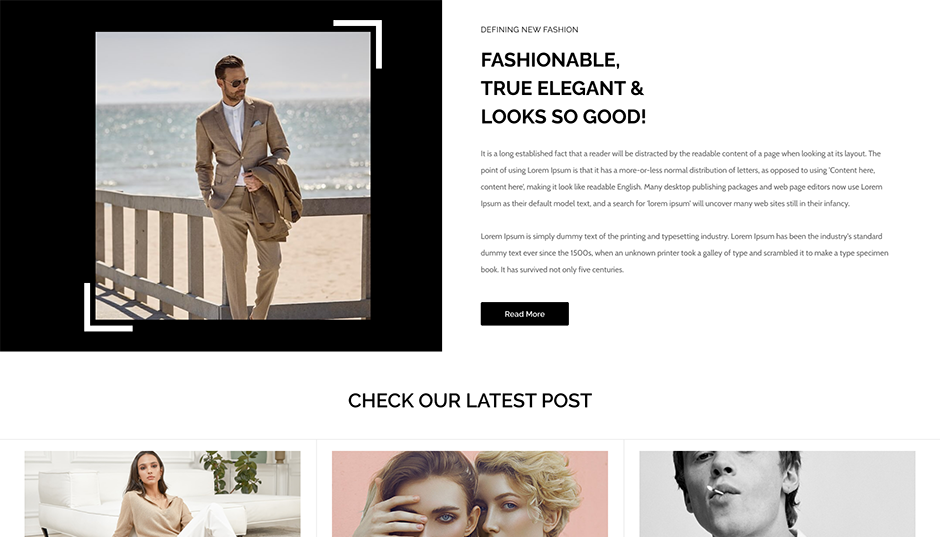 Ecommerce Store WordPress Theme