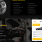 alignment-service-wordpress-theme