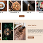 bistro-wordpress-theme