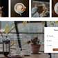 bistro-wordpress-theme