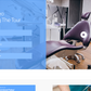 dentist-wordpress-theme
