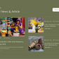Handmade WordPress Theme