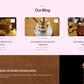 ice-cream-wordpress-theme