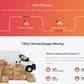 movers-wordpress-theme