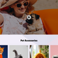 pet-house-wordpress-theme