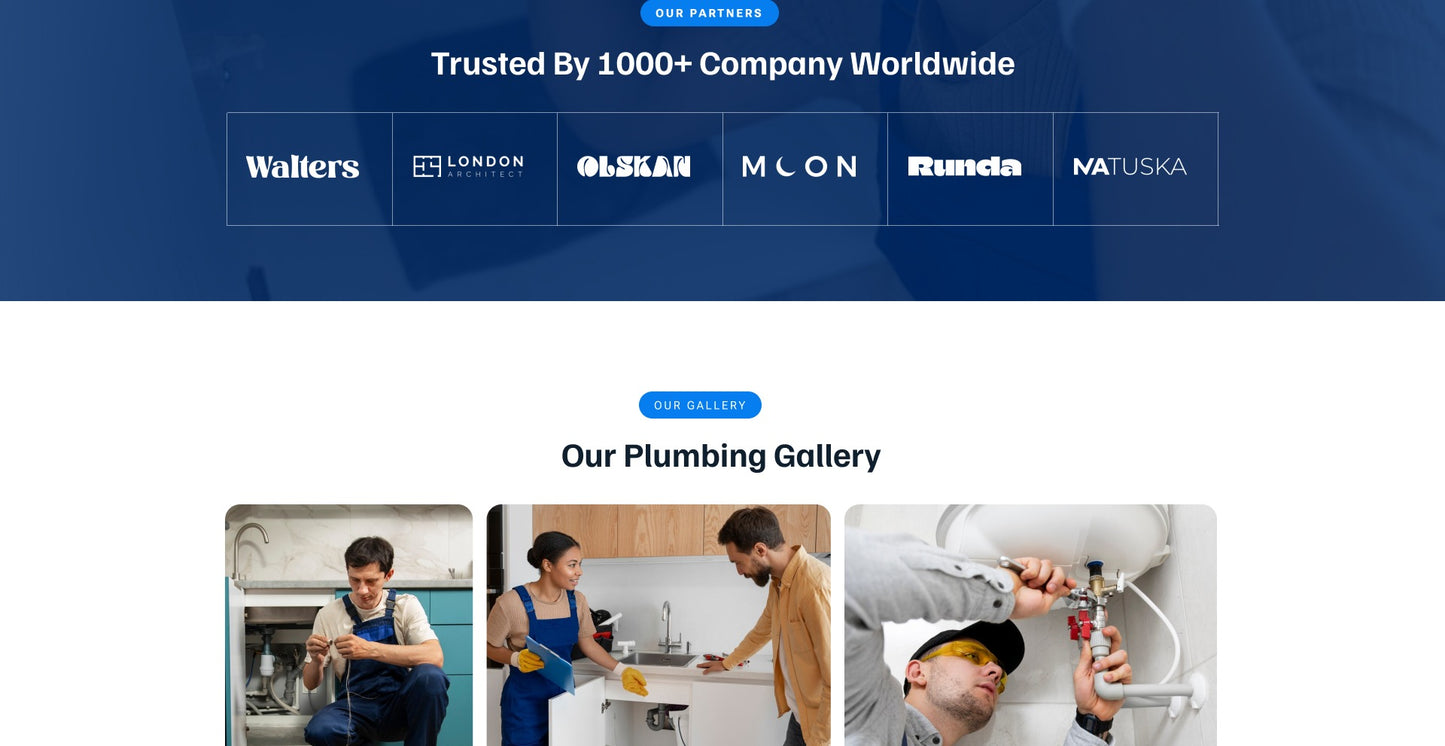Plumber WordPress Theme Icon 6