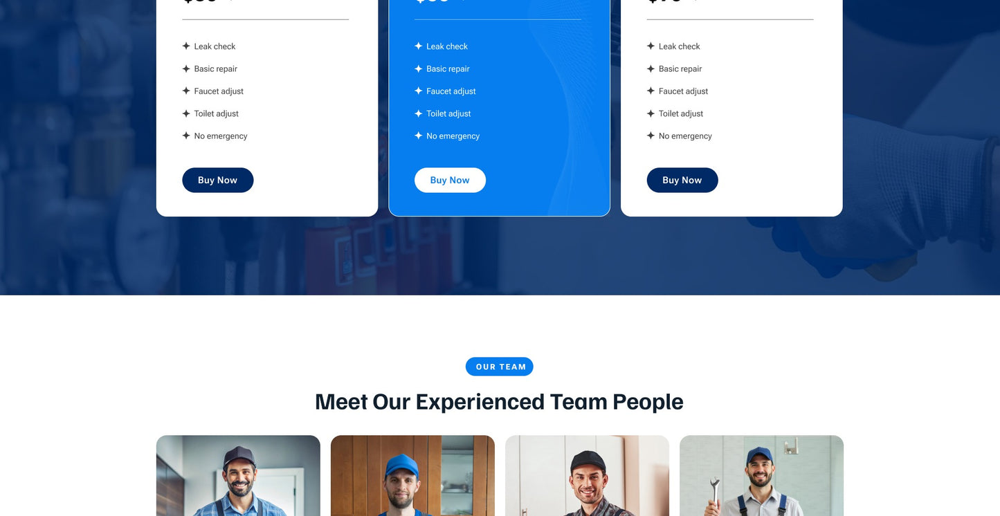 Plumber WordPress Theme Icon 9