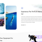 water-sports-rental-wordpress-theme