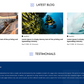 water-sports-rental-wordpress-theme